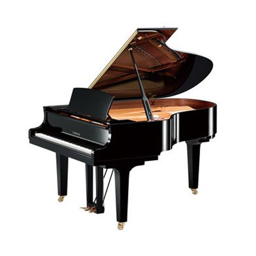 Serviços para Pianos em SP