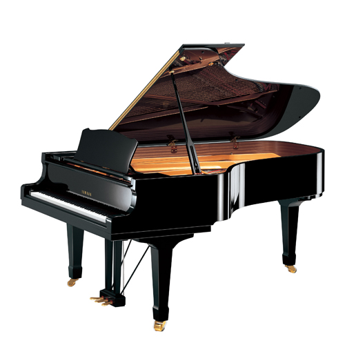 Afinação de Pianos em SP